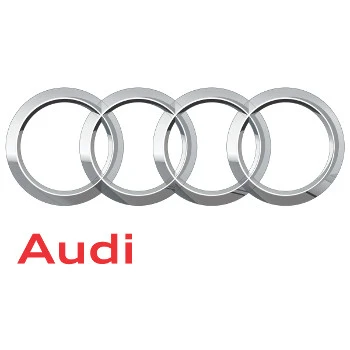 Cerchi in lega Audi