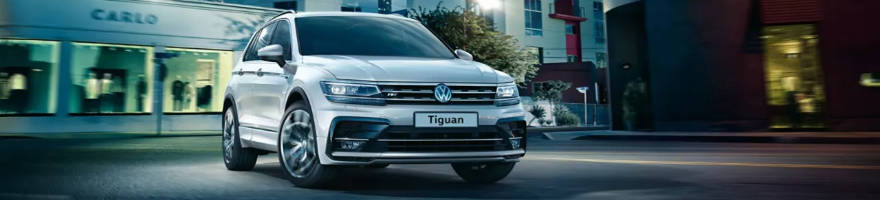 Cerchi in lega Volkswagen Tiguan